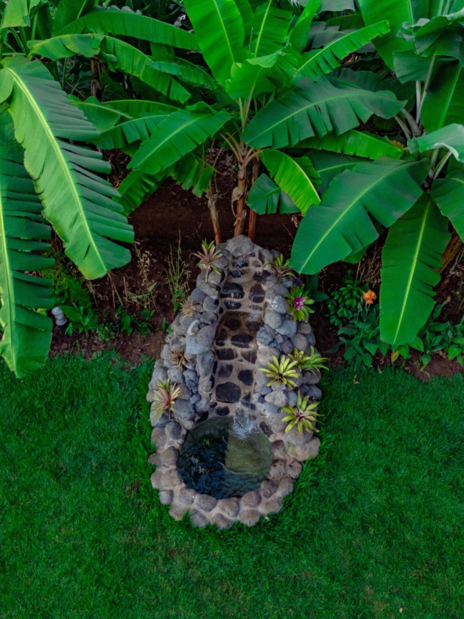 Shose Farmhouse Chalets & Campsite Moshi Bagian luar foto